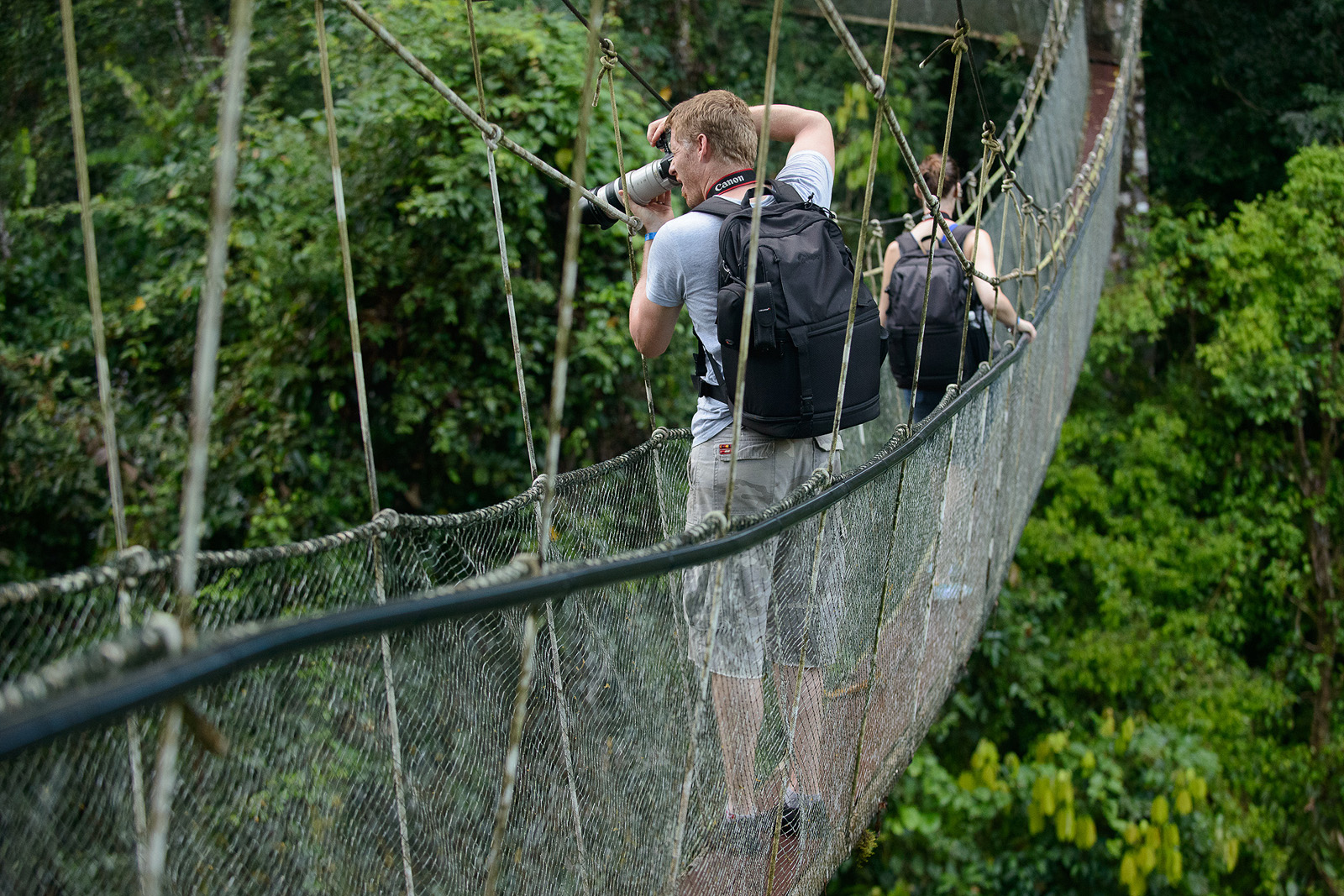 Image showing two wildlife photographers taking pictures from a canopy bridge