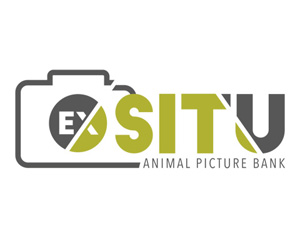 Logo of the ExSitu Project
