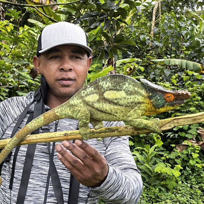 Image showing Patrick Andriamihaja holding a chameleon